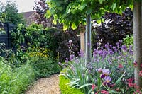 A south-facing border is full of colour, with bearded irises red valerian - Centranthus ruber, and Erysimum 'Bowles's Mauve', while the shadier side is greener, featuring a miniature wildflower meadow and cordon apples Malus domestica 'Red Falstaff',  'Fiesta' and  'James Grieve' against the fence.