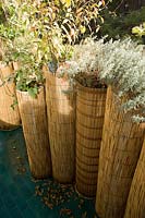 Planters surrounded with bamboo roll
