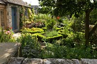 Small cottage garden with parterre of low Buxus hedge beds beneath tree 