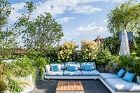 View across decked terrace with outdoor loungers screened by Cotinus coggygria and other plants in containers, view of roof tops beyond