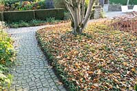 Path made with setts in circular pattern, near lawn covered in fallen leaves 