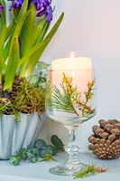 White candle in wine glass decorated with pine and moss, Hyacinthus - Hyacinth and moss in metal mould nearby