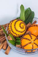 Oranges studded with cloves in glass bowl with bay leaves and cinnamon