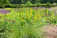 The Perennial Meadow at Scampston Hall Walled Garden, North Yorkshire, UK. Planting includes Thermopsis caroliniana and Festuca mairei. 