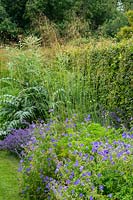 The Spring and Summer Box Borders at Scampston Hall Walled Garden, North Yorkshire, UK. Perennial planting includes Geranium 'Brookside', Stipa gigantea, Nepeta racemosa 'Walker's Low' and Cynara cardunculus 'Cardy'. 