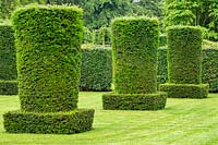 Clipped Taxus baccata - Yew - columns in the Silent Garden at Scampston Hall Walled Garden, North Yorkshire, UK. 