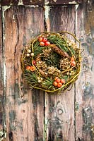 Wreath made of Corylus avellana 'Contorta' stems, small apples, fir branches and pine cones, hanging on old wooden door