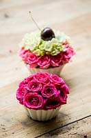 Cupcake arrangement with rose buds: Rosa 'Lovely Lydia' and 'Nathalie Nypels' with Hydrangea 'Groen' and a cherry