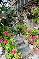 Mosaic flooring, steps and rough stone walls in covered canopy, pots of Pelargonium up steps