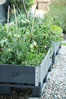 A vegetable garden in recovery boxes on a roof terrace