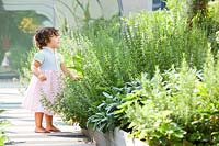 Child standing on a terrace with containers planted with  perennial grasses and herbaceous plants