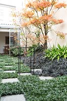 Terrace garden planted with shrubs and evergreen perennials, with grass and paving checkered pathway. 