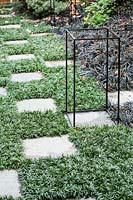Grass and paving slab checkered pathway, with Ophiopogon japonicus 'Nanus' - Dwarf Mondo grass. 