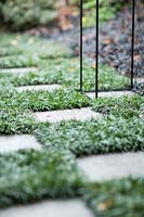 Grass and paving slab checkered pathway, with Ophiopogon japonicus 'Nanus' - Dwarf Mondo grass.