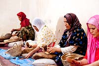 Shelling Argan nuts to obtain oil