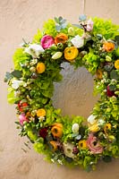 A crown of green sponge with: Hydrangea, mixed Ranuculus - Buttercup, Freesia and Tulipa - Tulip, Matricaria, Peach blossom and Eucalyptus leaves