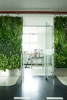 View through a modern workshop showing vertical garden with panels either side of an entrance, plants: Calathea, Chamaedorea elegans, Chlorophytum, Ficus repens, Syngonium