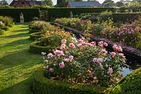 Curved rose beds edged with Buxus - Box on either side of water rill, lawn and hedges surround in The Renaissance Garden 