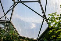 Hexagonal steel structure with the fabric skin made from ethylene tetraÂ­fluoroethylene copolymer - ETFE - of biome roof 