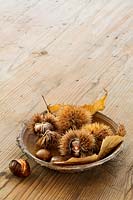 Dish of chestnuts with seed cases 