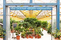 Entrance to Citrus nursery with potted plants displayed undercover 