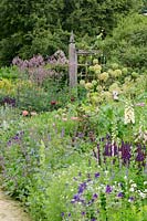 Flower bed with Angelica archangelica and other flowers 