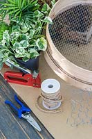 Plants, tools and materials needed to make a hanging houseplant sieve. 