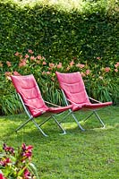 Two reclining chairs on lawn in shade, in front of bed of Hemerocallis - Daylily - with hedge