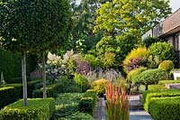Formal planting in contemporary garden: box and yew low hedging, ball topiaries, Imperata cylindrica 'Red Baron' and Carpinus betulus - Hornbeam lollipop topiary.