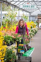 Filling up a trolley with plants at a garden centre