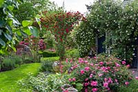 Rosa - Rose - garden with roses in beds and climbing over buildings and gazebos, varieties include: Rosa 'New Dawn', Rosa 'Chevy Chase' and Rosa 'Magic Meidiland'