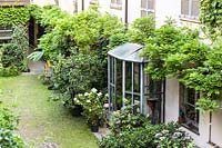 Looking down on house wall with a horizontally trained Wisteria over top of windows and porch, below rows of potted shrubs 