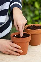 A young woman using her finger to make a hole to plant a single chilli seed into a pot filled with coir peat.