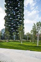Public park, view across path with the words Betula utilis Dorrenbos engraved, this is the botanical name of the young Betula - Birch - trees in grass behind. In background, Bosco Verticale - Vertical Forest - by architect Stefano Boeri  