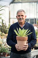 Nurseryman holding potted Agave in a greenhouse