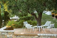 Decking on top of terrace wall with seating, beyond an Olea europaea - Olive - tree and bed of low shrubs