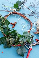 Red stemmed willow forms the circle of the wreath to attach orange Iris foetidissima berries, Ivy and seed heads foraged from the garden.