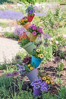 Rainbow pot tower adding height and colour to a flower bed