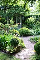 Shaded small town garden with Buxus - Box - topiary, mixed beds, gravel path and summerhouse