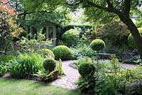 Shaded small town garden with Buxus - Box - topiary, gravel paths, mixed beds and summerhouse