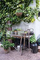 Display of pots and garden tools with sewing table against a Hedera - Ivy covered wall