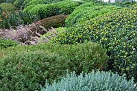 Topiary garden featuring: Westringia fruticosa - Coastal Rosemary, Callistemon - Bottlebrush and Rhaphiolepis - Indian Hawthorn