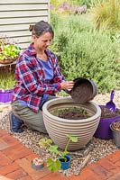 Woman adding well-rotted organic material to large plastic planter