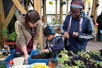 Child potting up plants under supervision of adults