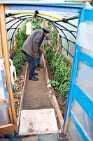 View into home-made polytunnel with people inspecting plants growing in the borders