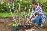 Woman using a fork to incorporate organic matter into the soil