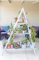 Wooden shelving ladder unit being used as a privacy screen