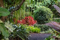 A colourful tropical style garden 