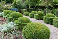Buxus sempervirens topiary of balls and egg cup forms. Veddw House Garden, Monmouthshire, Wales, UK.