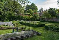 Raised beds in the vegetable garden with lawn and Buxus - Box - parterre with Salvia and Rosa 'L. D. Braithwaite' - English Shrub Rose - as standards 